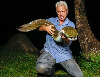 River Monsters