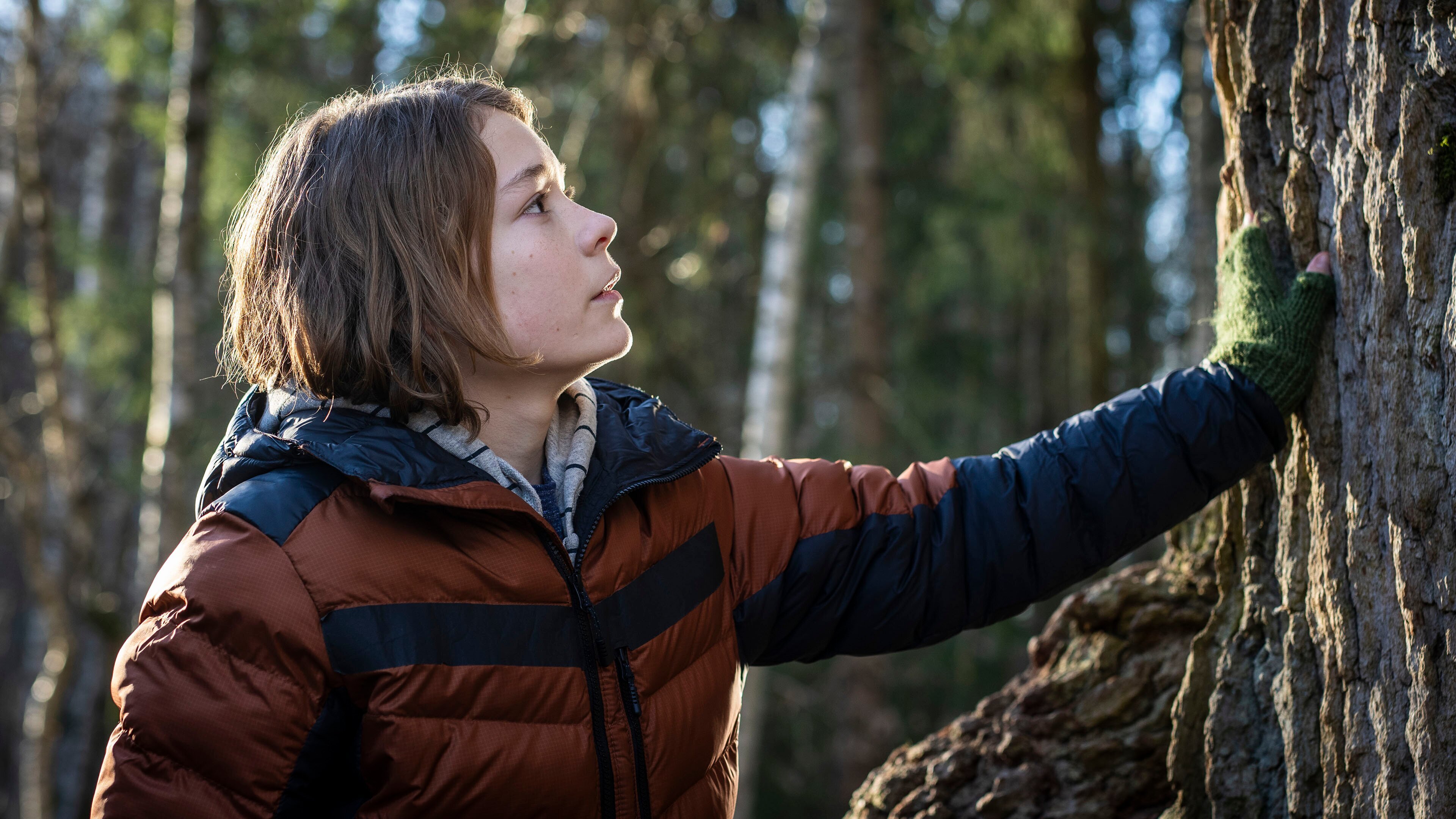 Der Wächter des Zauberwaldes