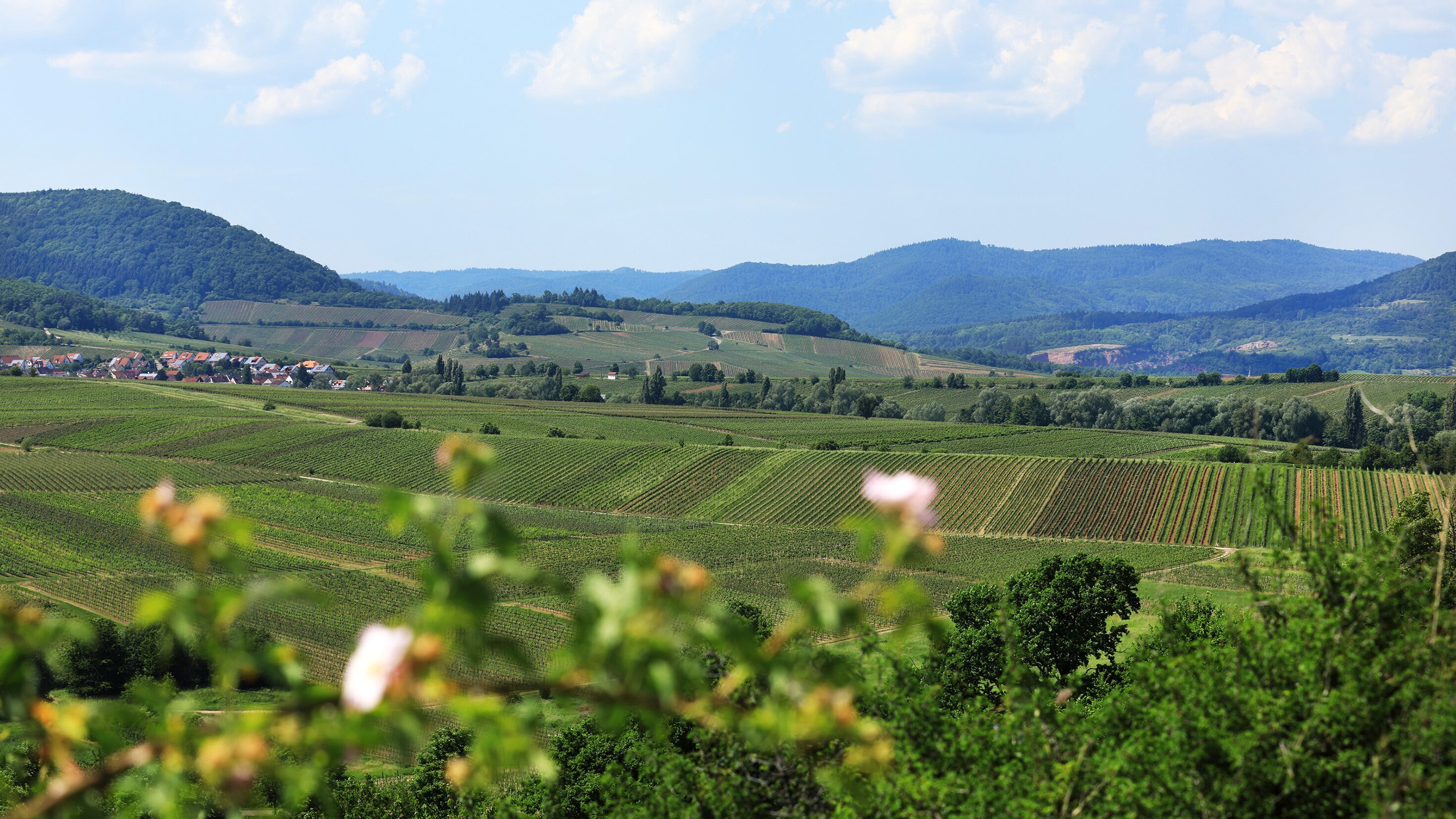 Expedition in die Heimat