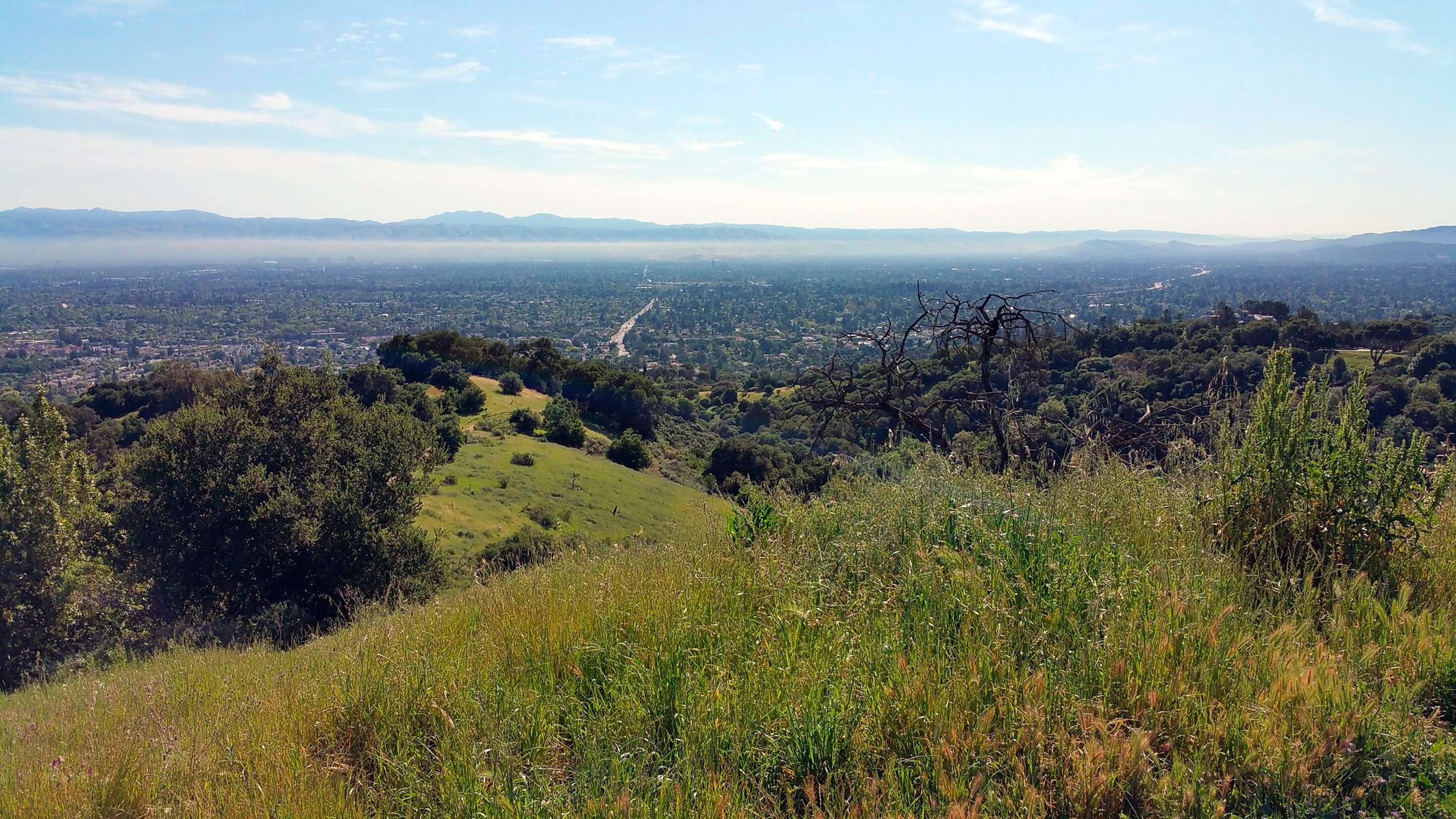 Die Silicon-Valley-Revolution