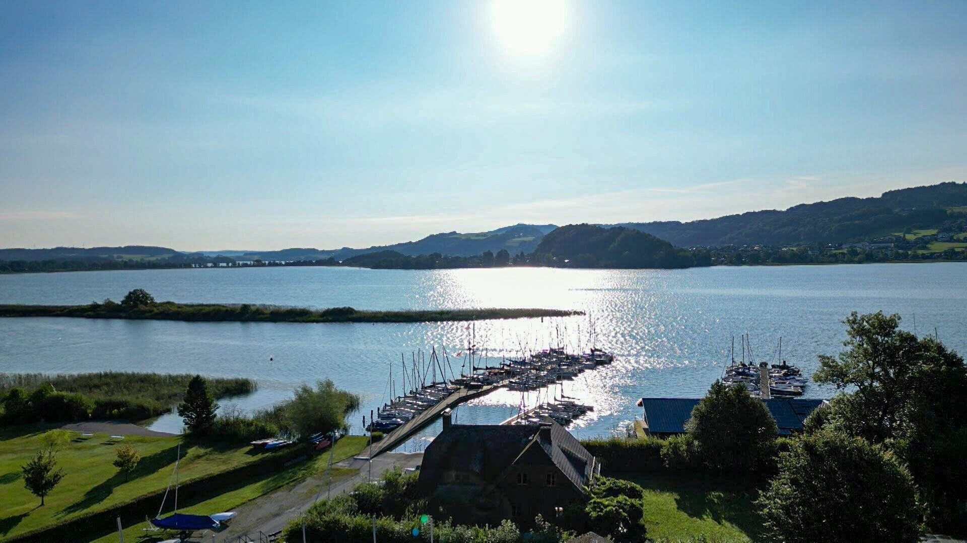 Wo Bio zu Hause ist – Die Heumilchregion im Salzburger Seenland