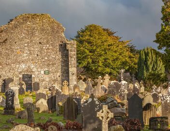 Irlande : l'exhumation des bébés oubliés