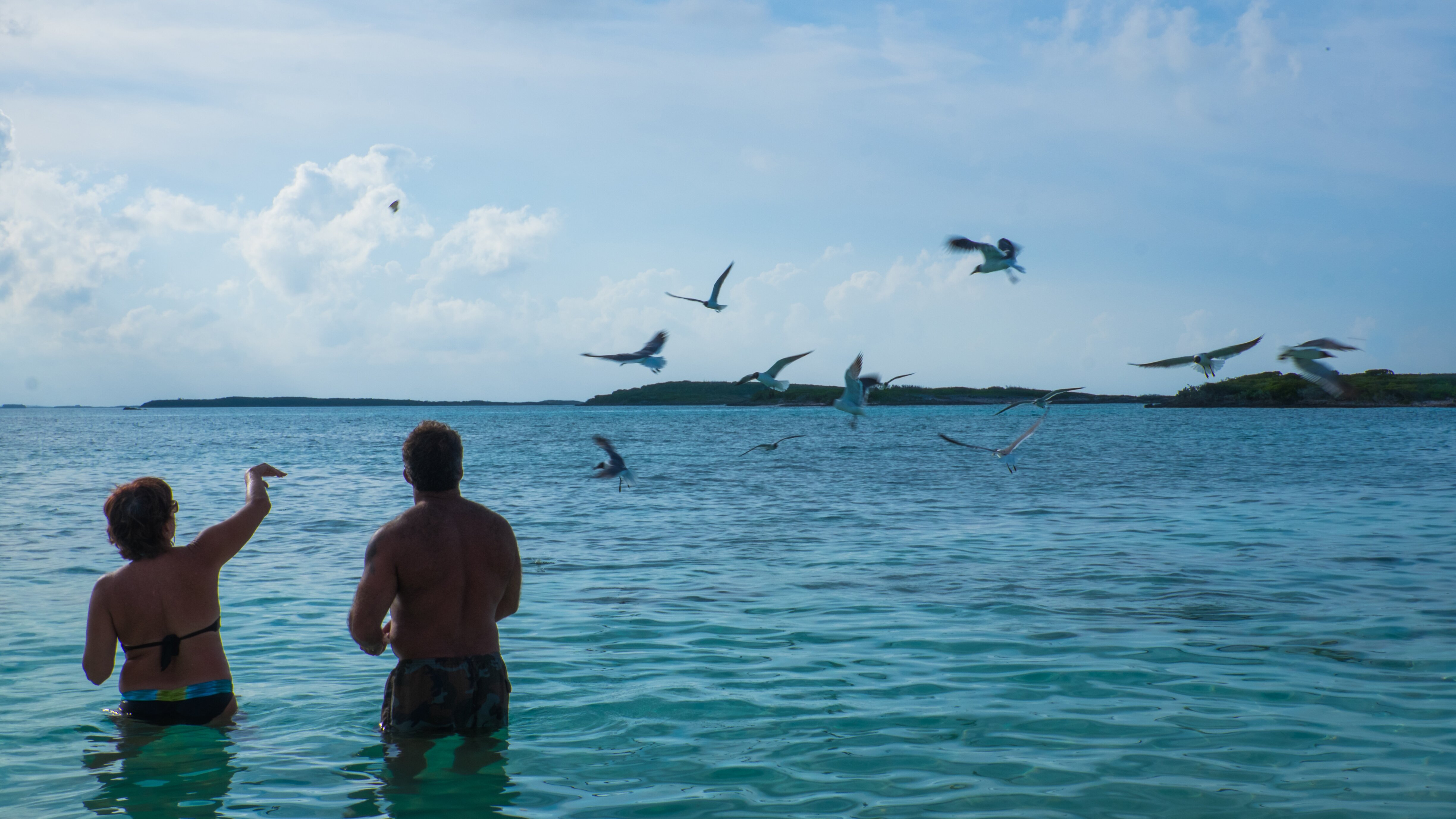 Bahamas Life – Traumhaus gesucht