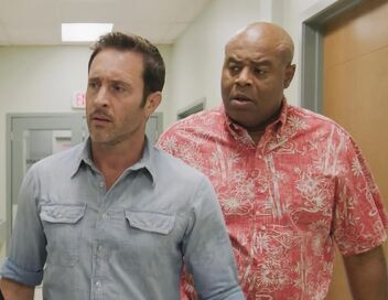 Hawaii 5-0