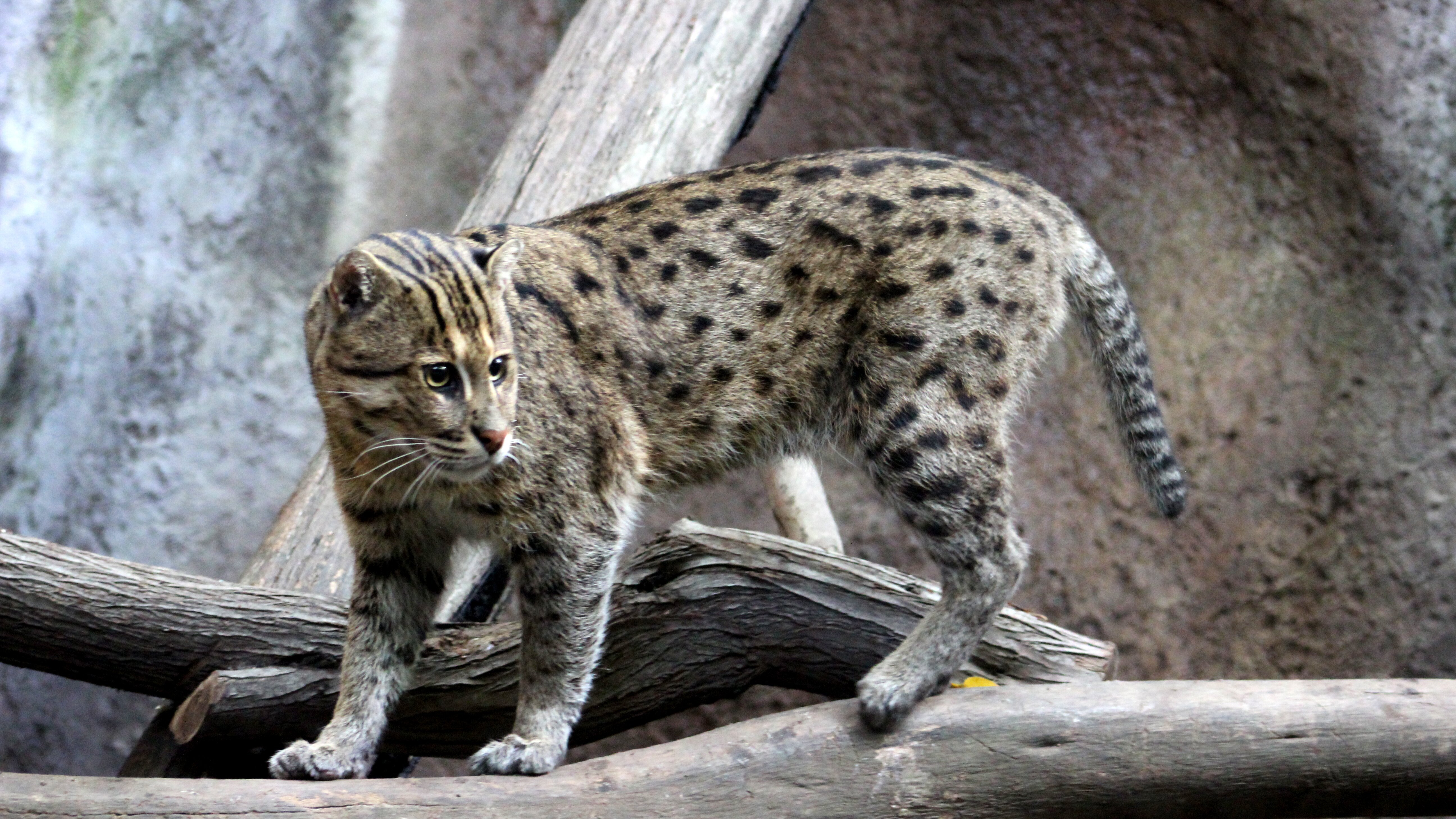 San Diego Zoo