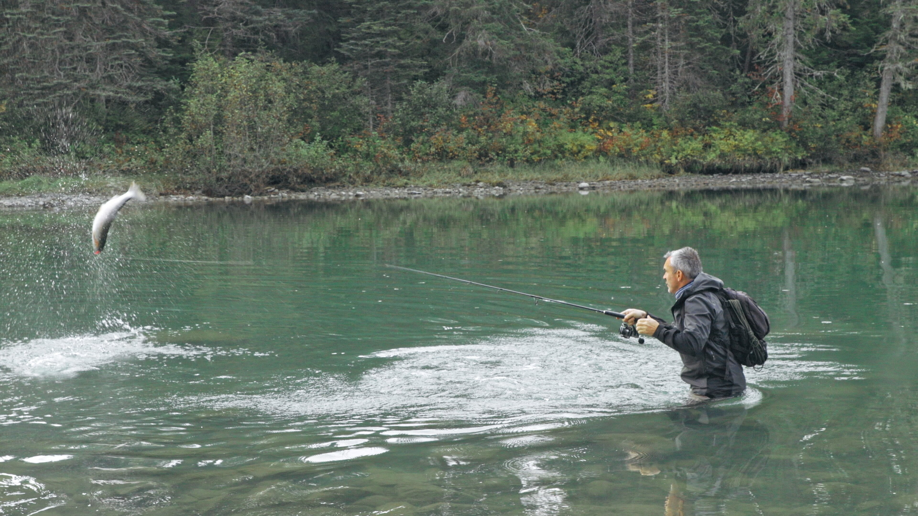 Giganten unter Wasser – Riesenfischen auf der Spur