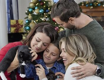 Neuf chatons pour Noël