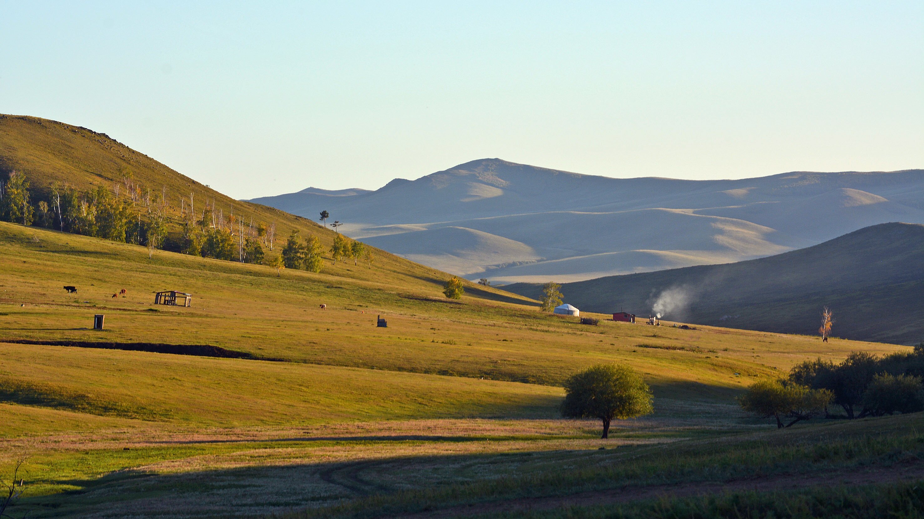 Mit dem Zug durch die Mongolei