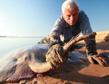 River Monsters