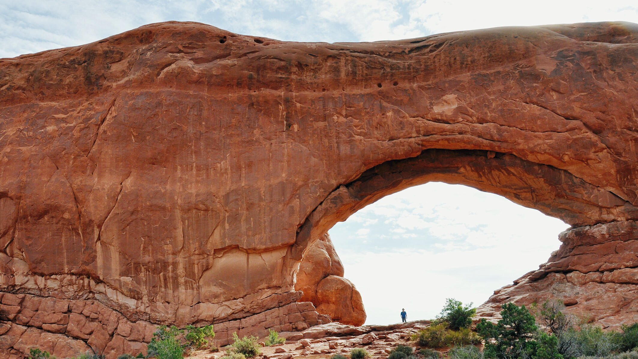 Panamericana: Die Highlights