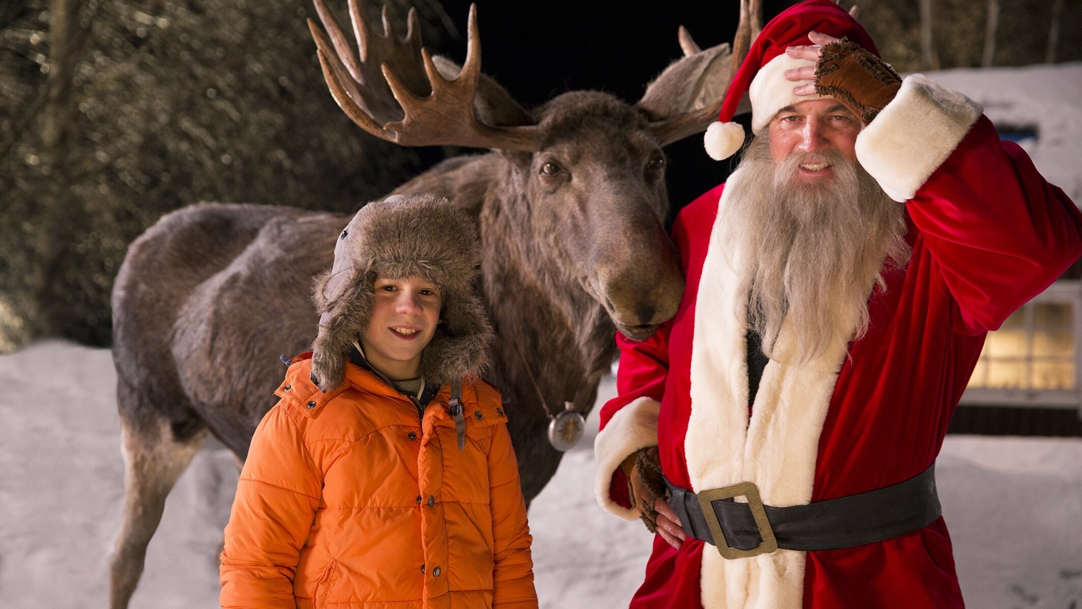 Mitten in der Winternacht