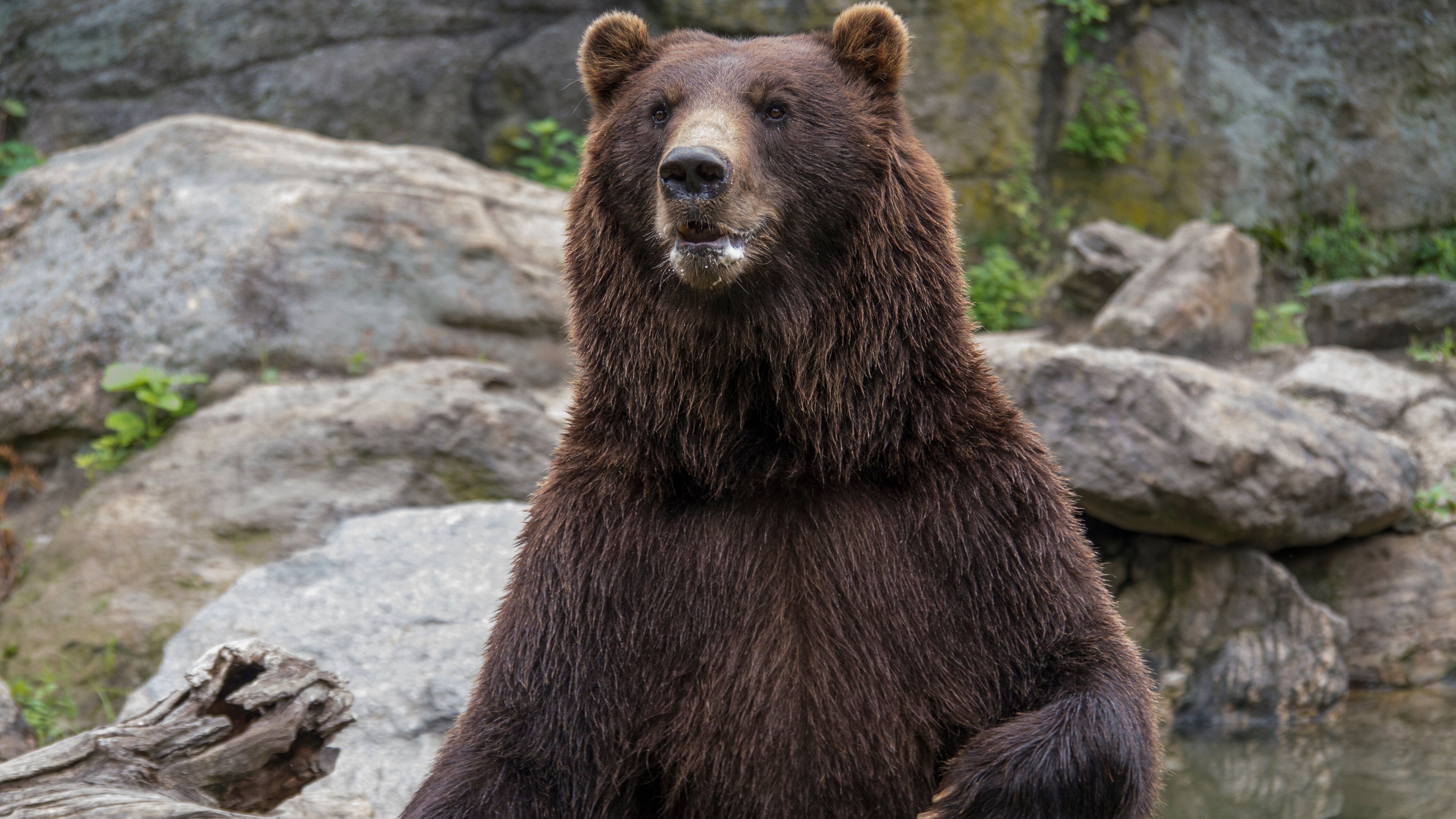 Bronx Zoo – Tierpark der Superlative