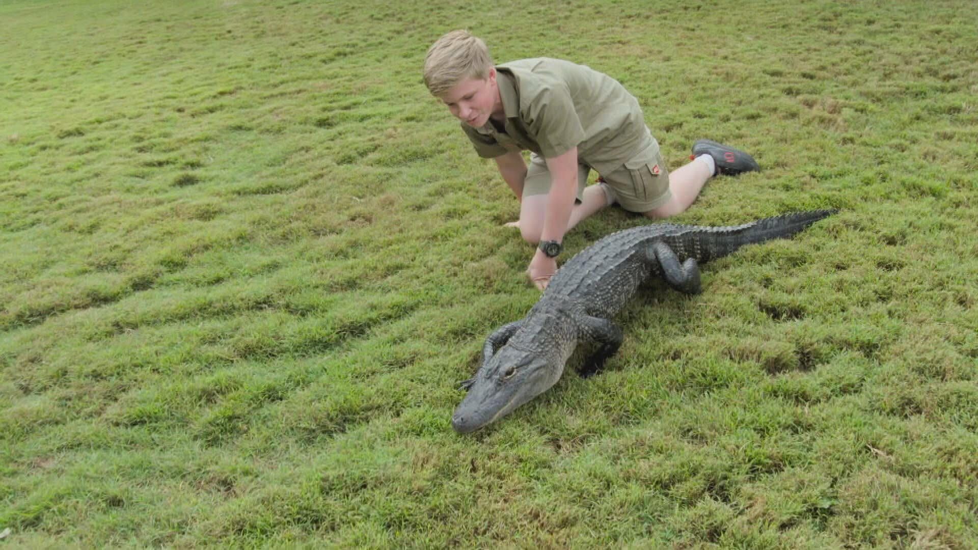 Die Irwins – Crocodile Hunter Family