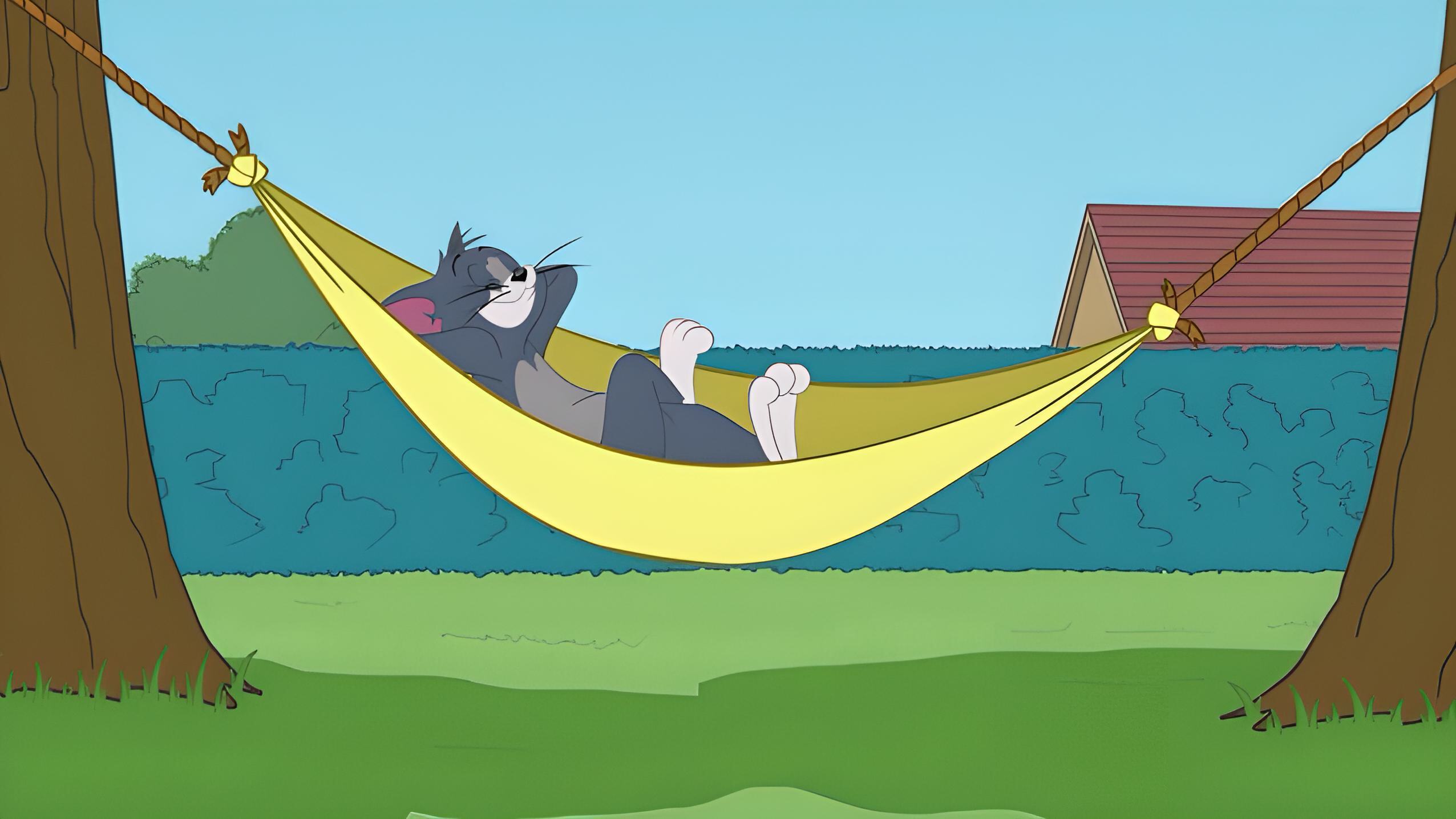 Die Tom und Jerry Show