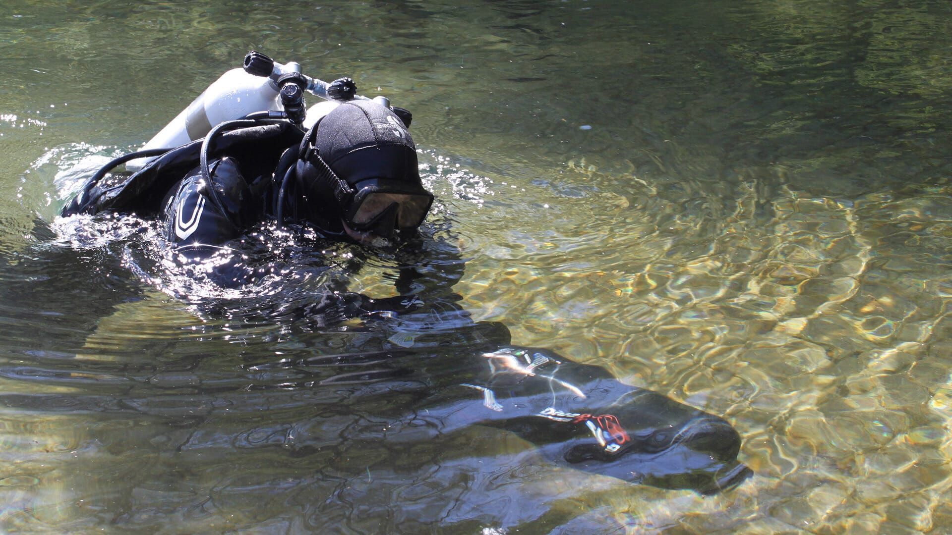 Die Wracktaucher – Schätze der Nordsee