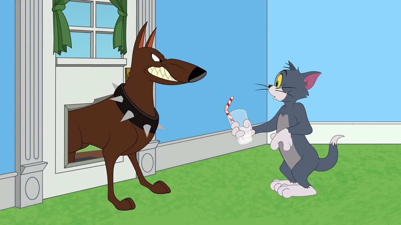 Die Tom und Jerry Show