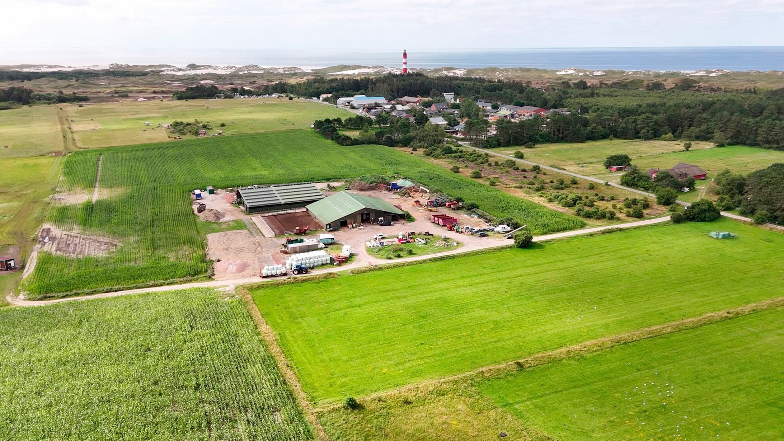 Der Inselbauer von Amrum