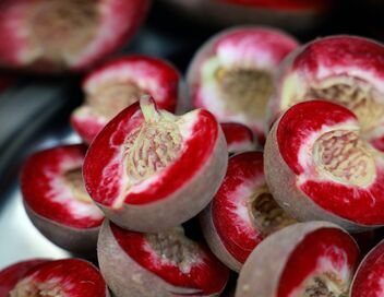 Cuisines des terroirs