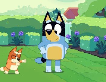 Bluey
