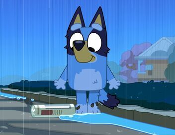 Bluey