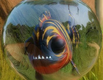 Les as de la jungle à la rescousse