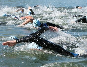Triathlon : World Triathlon Championship Series