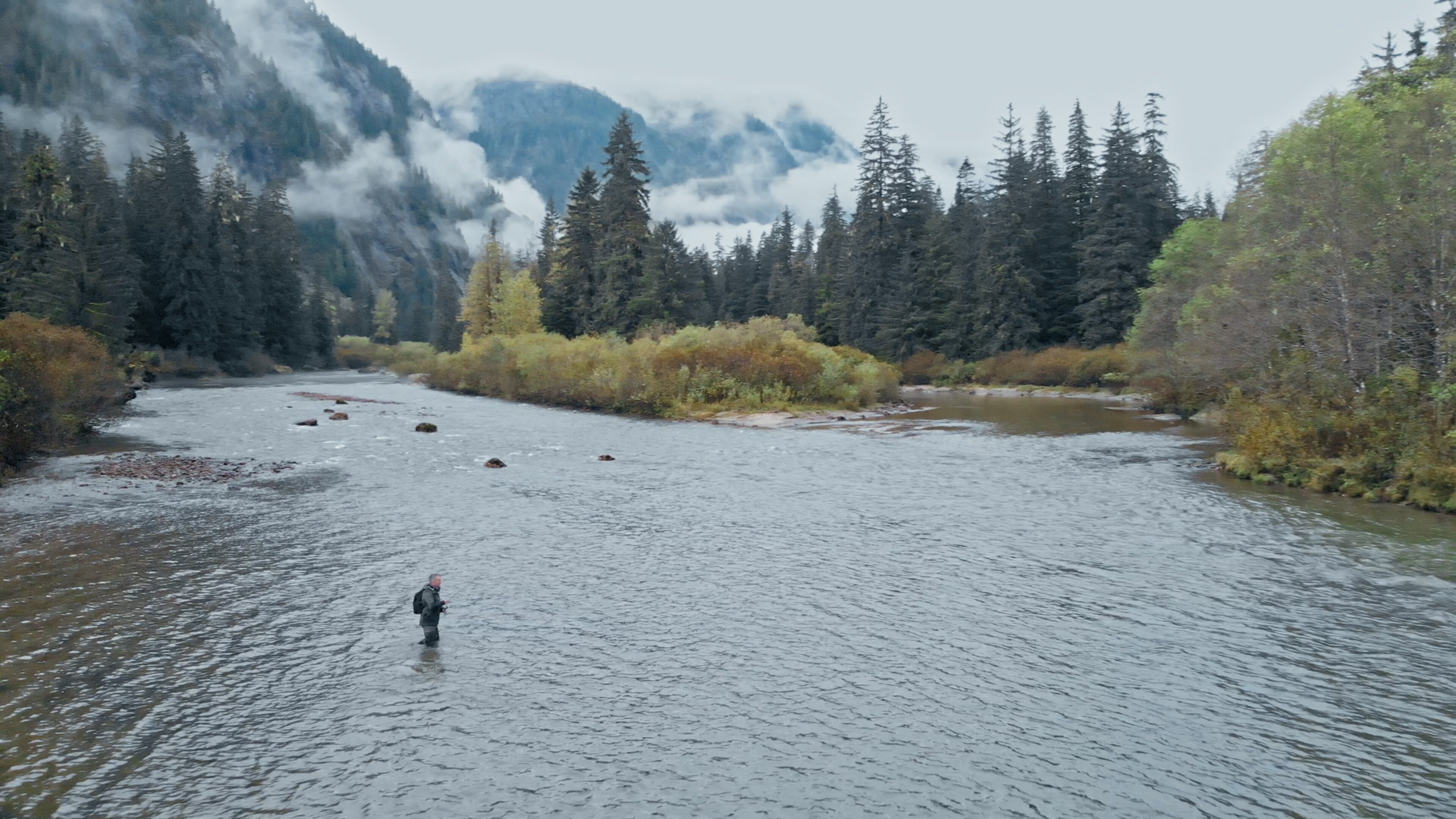 Giganten unter Wasser – Riesenfischen auf der Spur