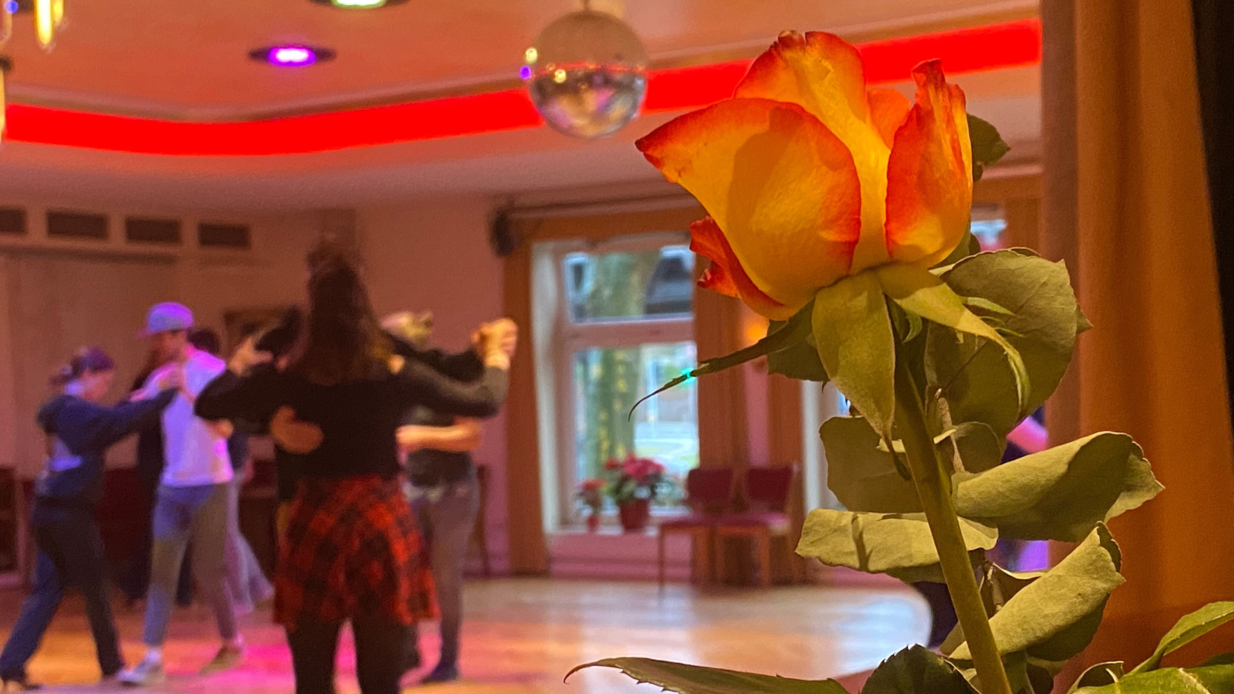 Im Wiegeschritt durch die Zeit