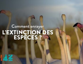 42, la réponse à presque tout