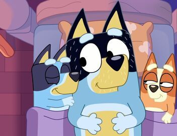 Bluey Minisodes