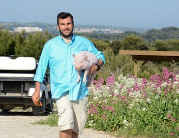 Camping Paradis