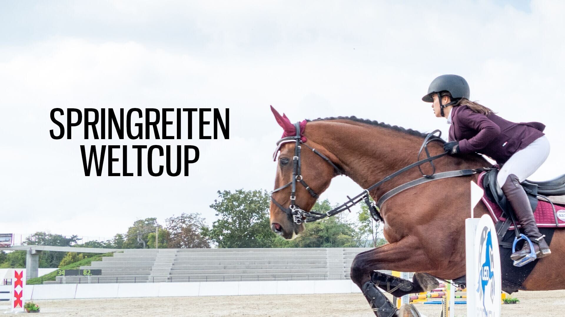 Springreiten: Weltcup