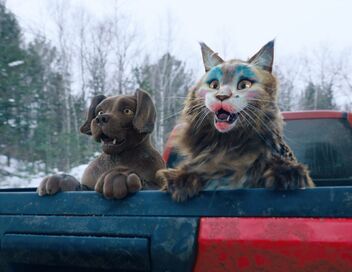 Chien & chat