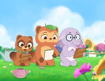 Taki Tanuki