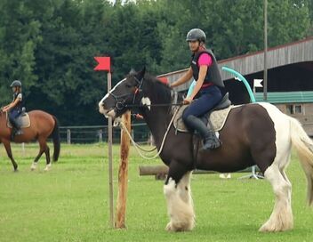 Au galop ! Une saison à cheval