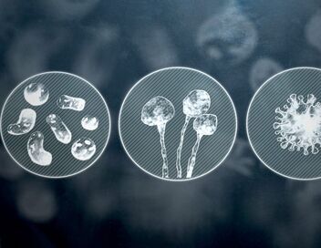 Les vrais maîtres de la Terre : Les microbes