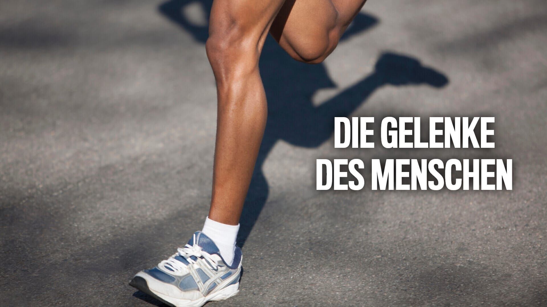 Die Gelenke des Menschen