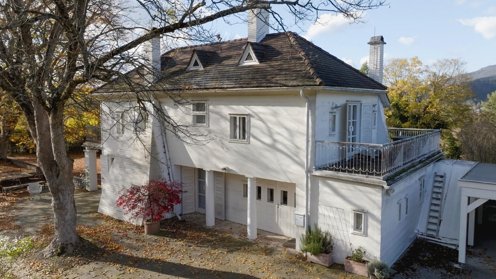 Josef Frank – Stil & Blüten