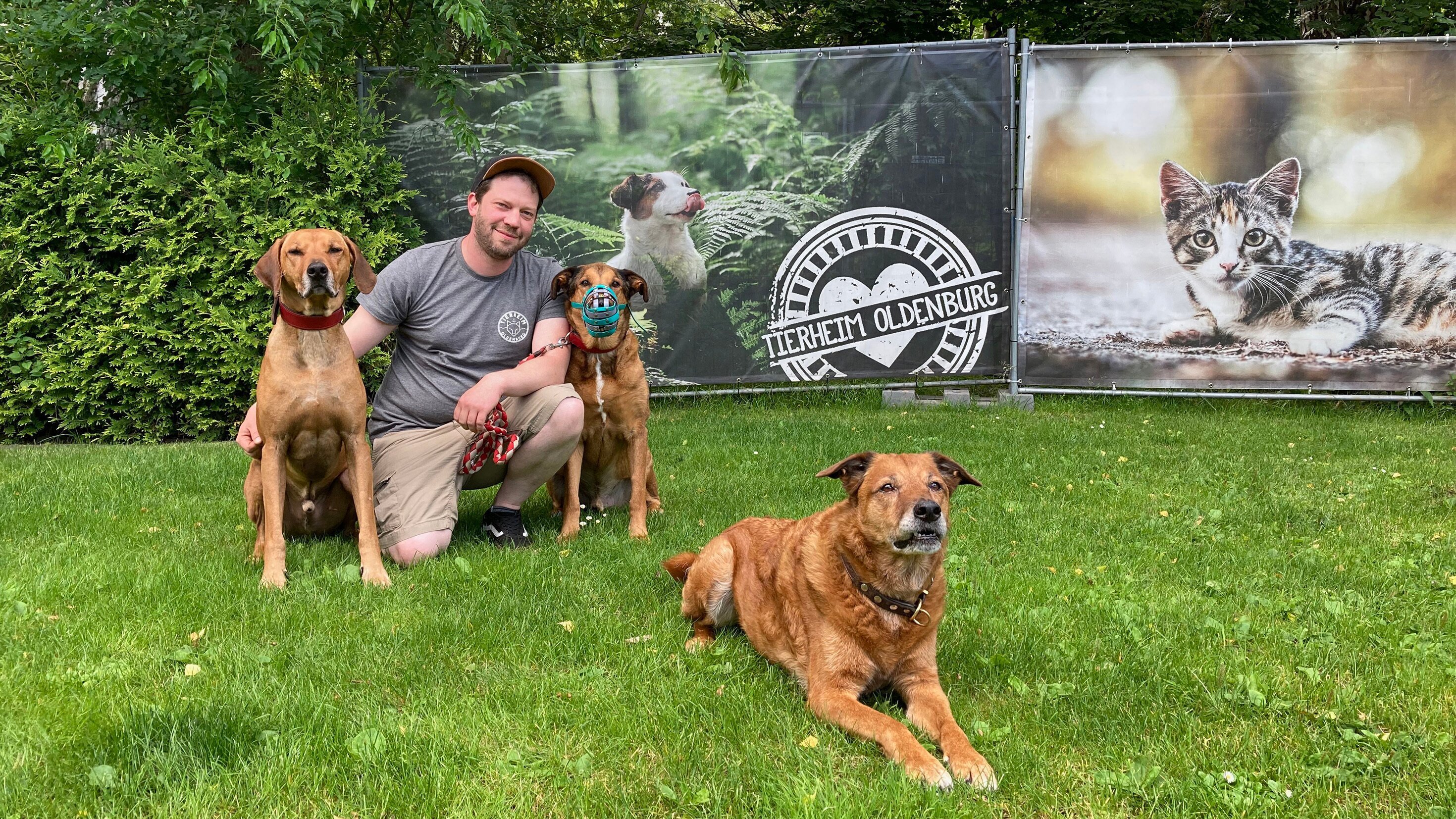 Großes Herz für schwierige Hunde