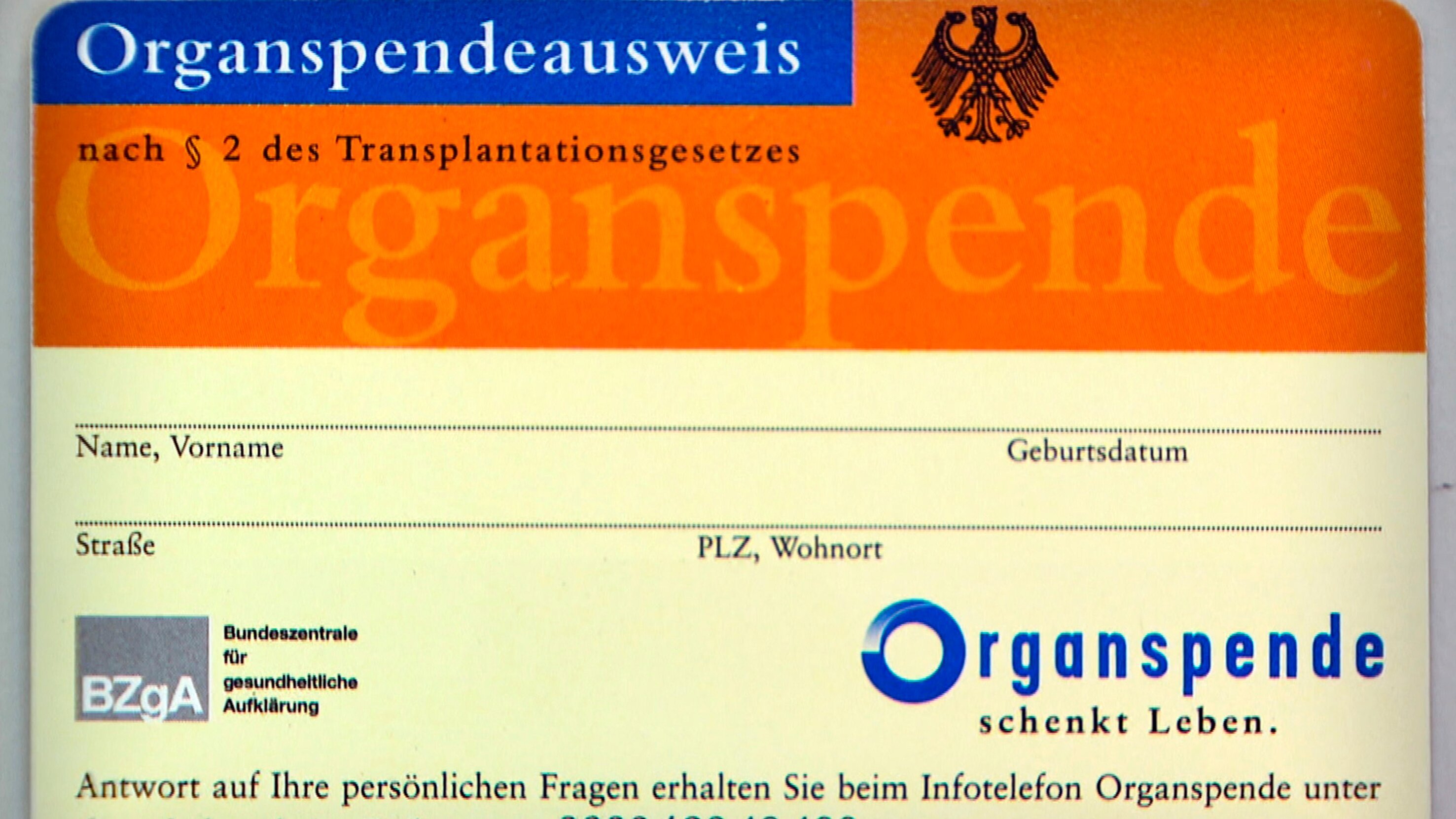 Organspende zwischen Leben und Tod