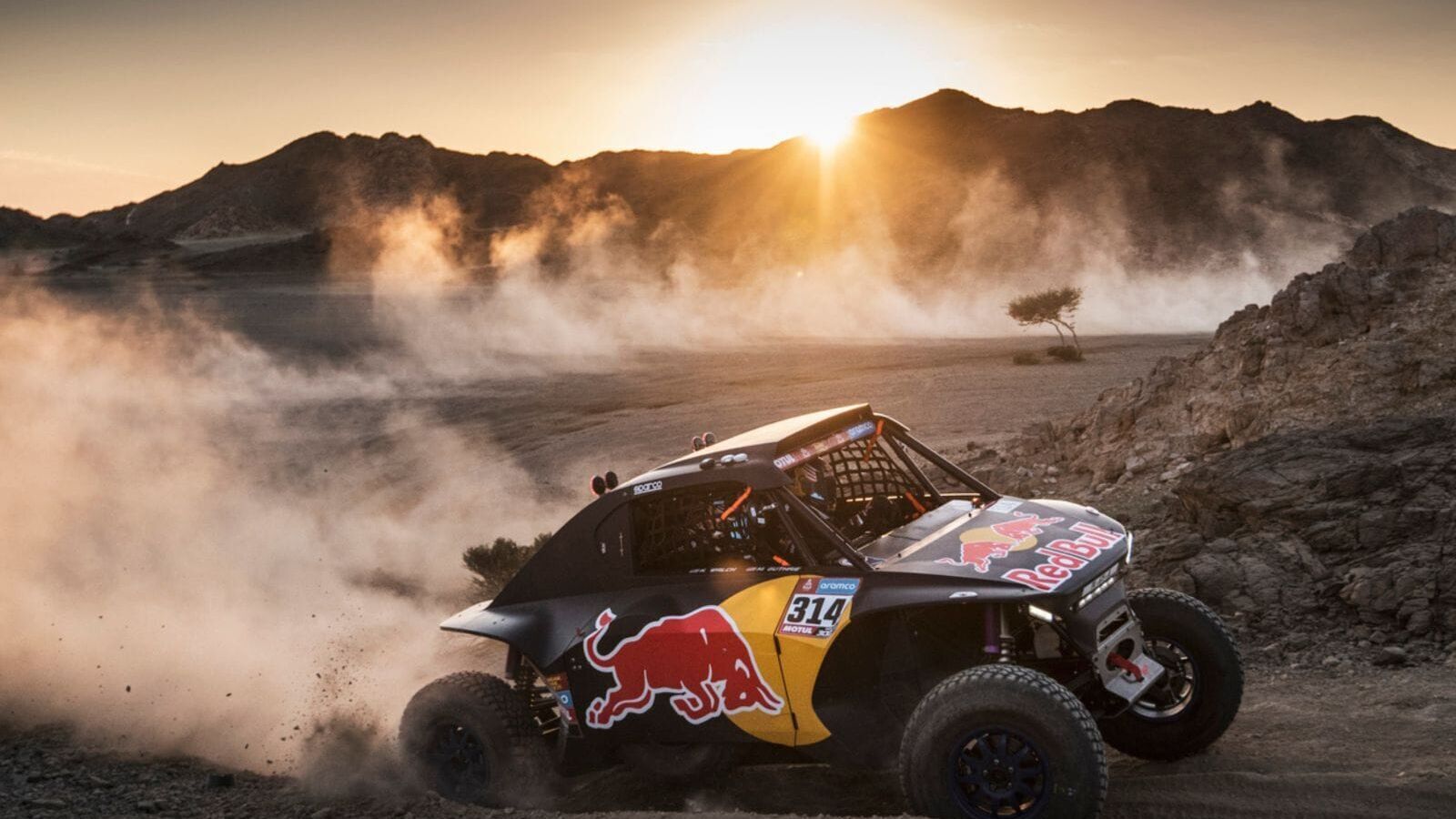 Rallye-raid : Safari Afrique du Sud