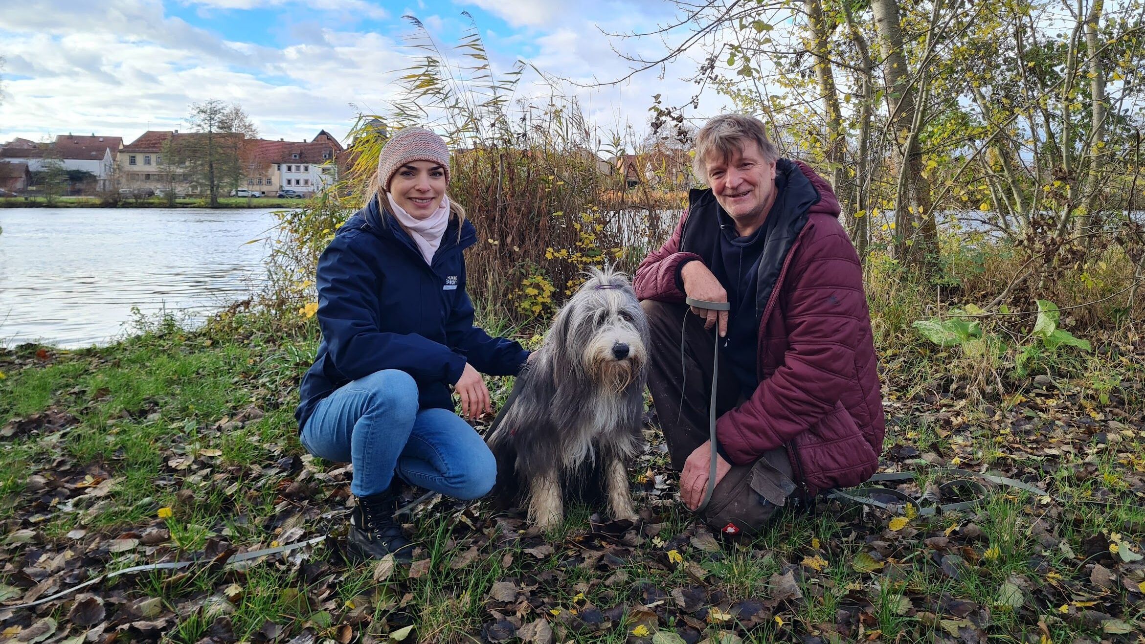 Der Hundeprofi – Rütters Team