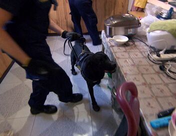 Douanes sous haute surveillance
