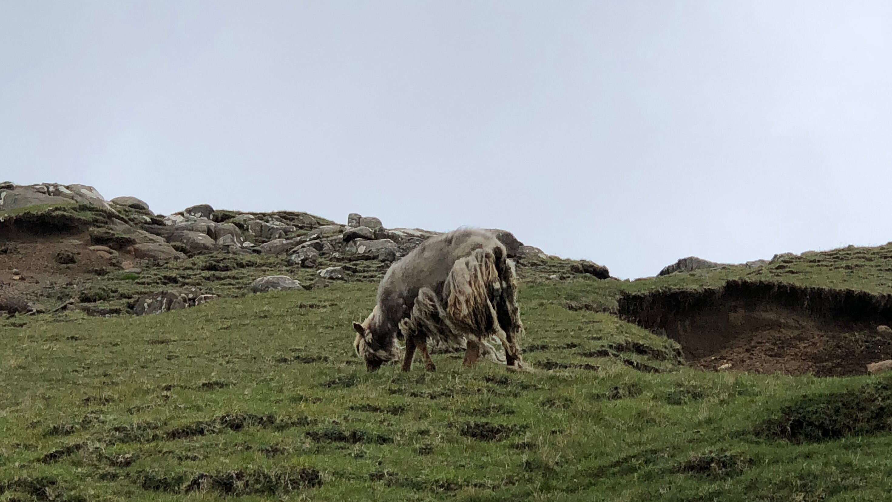 Allein im Meer – Leben auf den Färöern