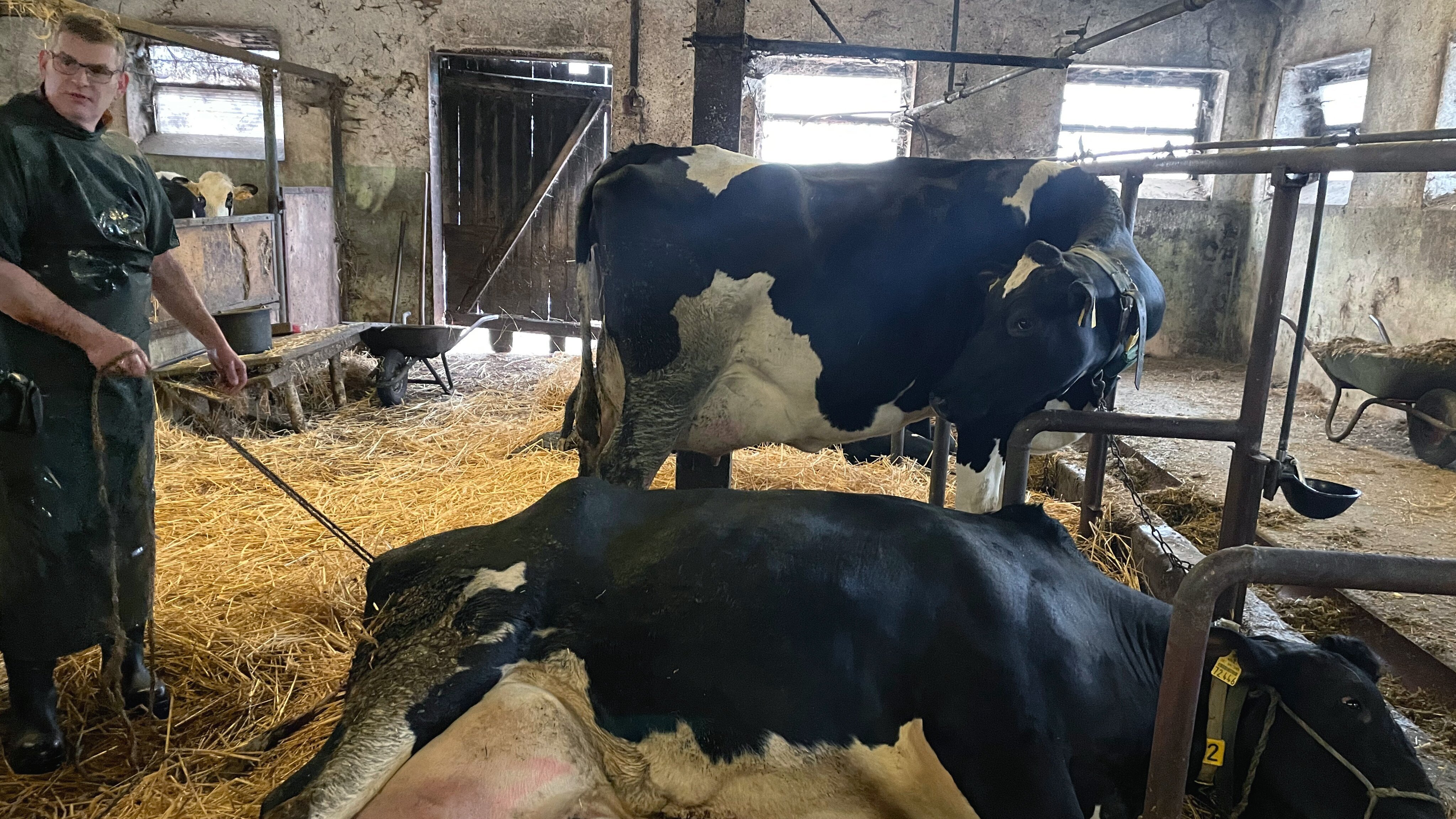 Mit dem Großtierarzt von Hof zu Hof