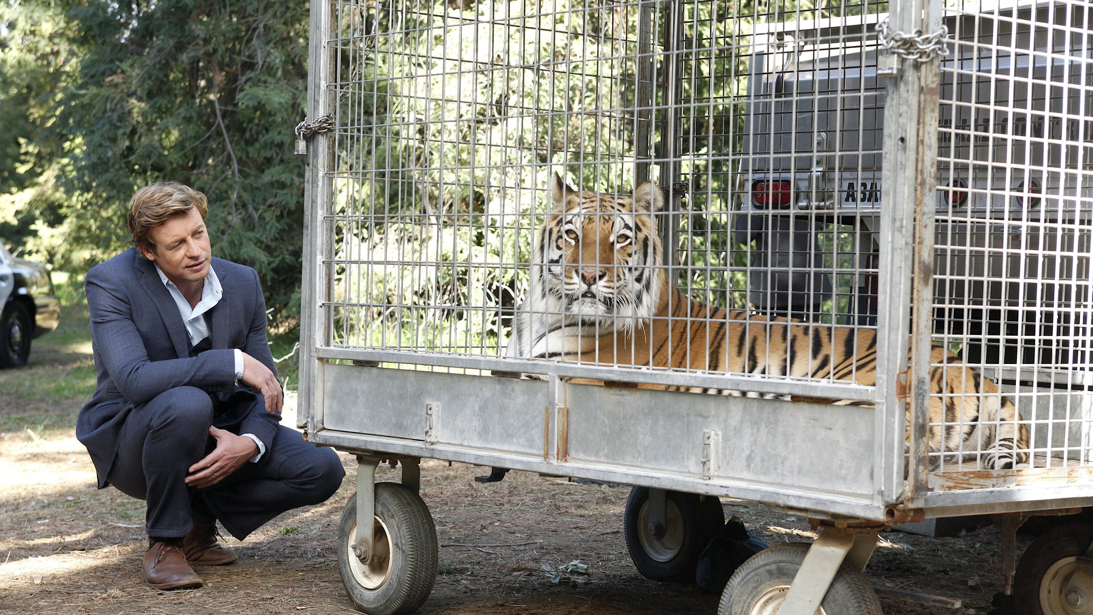The Mentalist