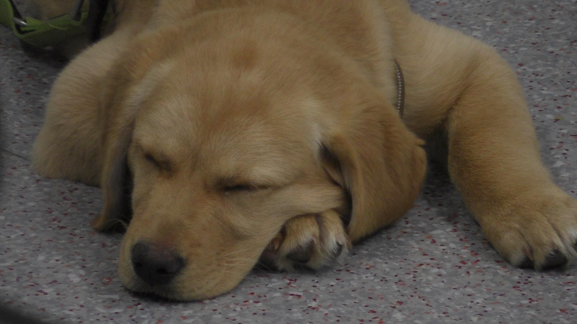 Hautnah: Die Tierklinik