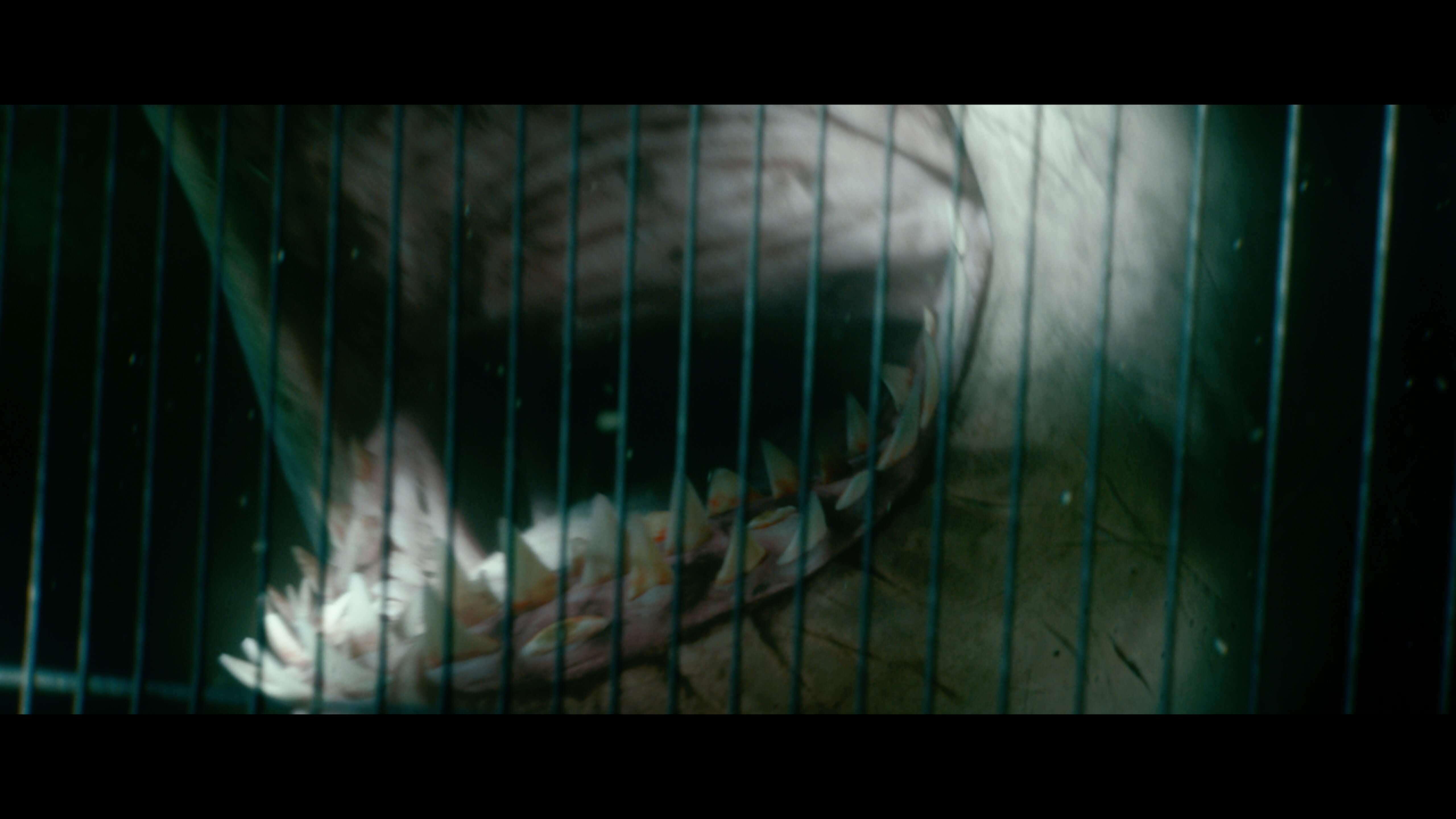 47 Meters Down – Uncaged