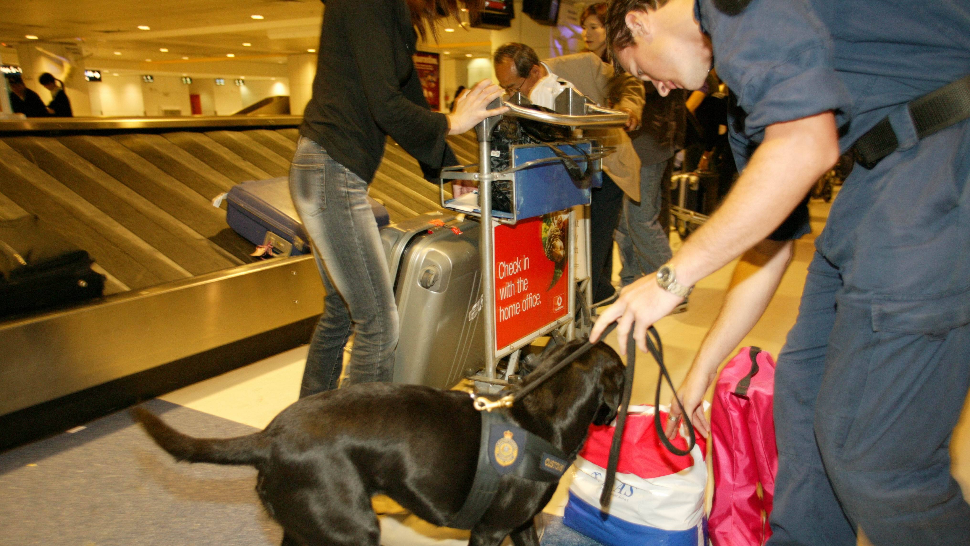 Border Patrol Australia