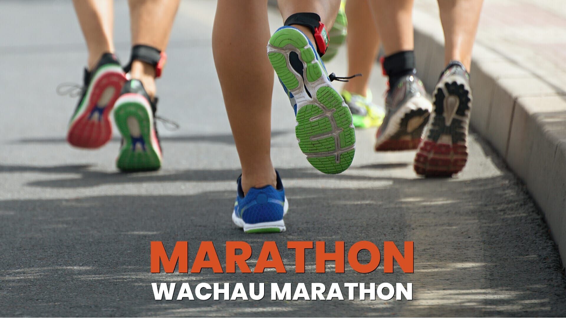 Wachau Marathon 2025
